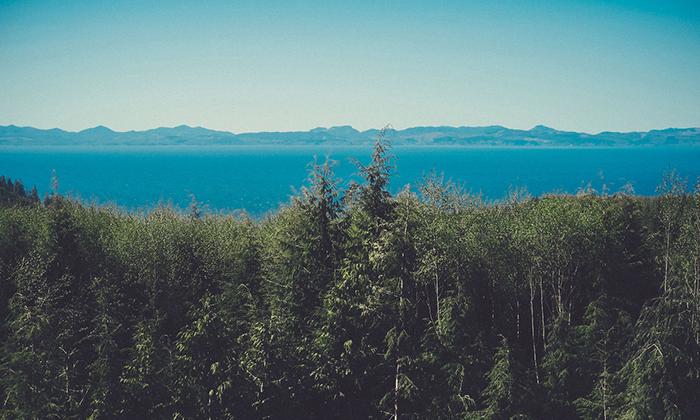 无限轰炸手机软件短信下载