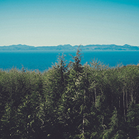 黑科技一键呼叫轰炸