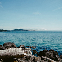 手机号轰炸免费在线网站