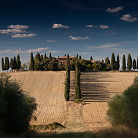 呼死你软件短信